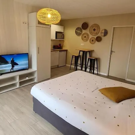 Cosy Confort Des Oliviers *