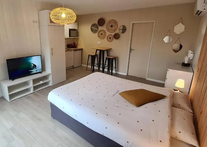 Vakantiehuis Cosy Confort Des Oliviers *