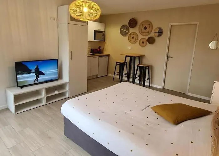 Cosy Confort Des Oliviers *